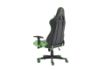 תמונה של כיסא גיימינג DRAGON GLADIATOR -ירוק