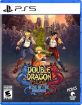 תמונה של DOUBLE DRAGON GAIDEN RISE OF THE DRAGONS | PS5