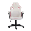 תמונה של DRAGON COMBAT GAMING CHAIR PINK - כיסא גיימינג לבן ורוד