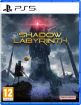 תמונה של SHADOW LABYRINTH PS5